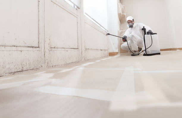 24/7 Emergency Black Mold Removal experts in Bryn Mawr, PA